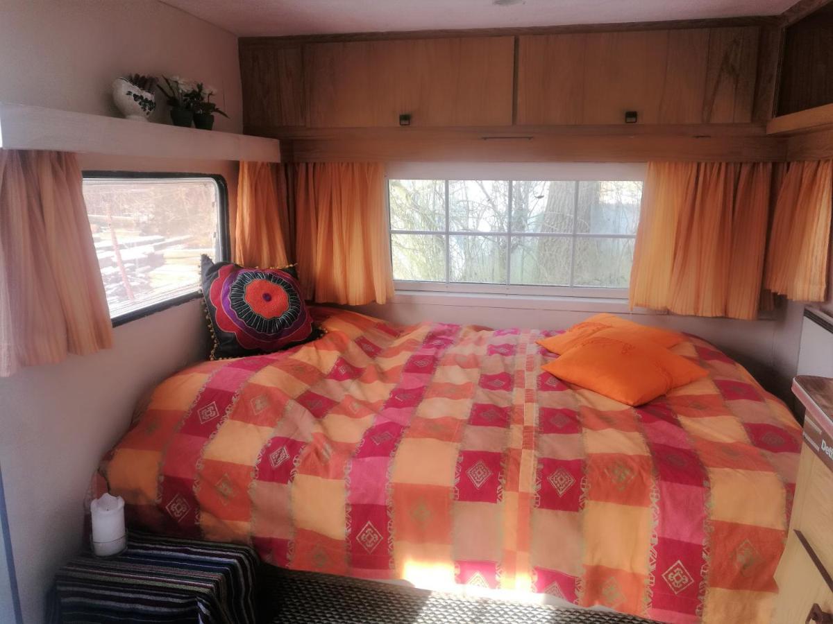Shamanens Hule Bed & Breakfast Haslev Ngoại thất bức ảnh